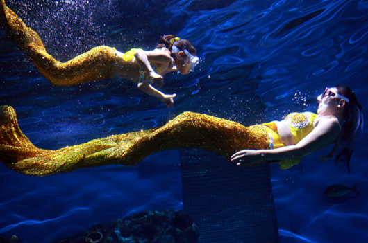 ?? ‘???? ??’? ???? ??? ?? ??