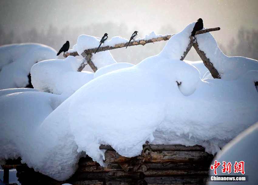 ?? ???, ??? ??? ‘?? ? ??’ ??