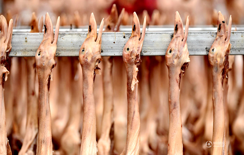 ‘? ???’ ?? ??? ?? ‘??(板鴨) ??’