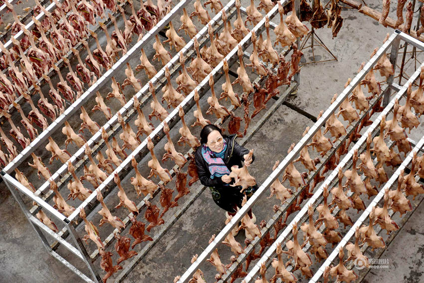 ‘? ???’ ?? ??? ?? ‘??(板鴨) ??’