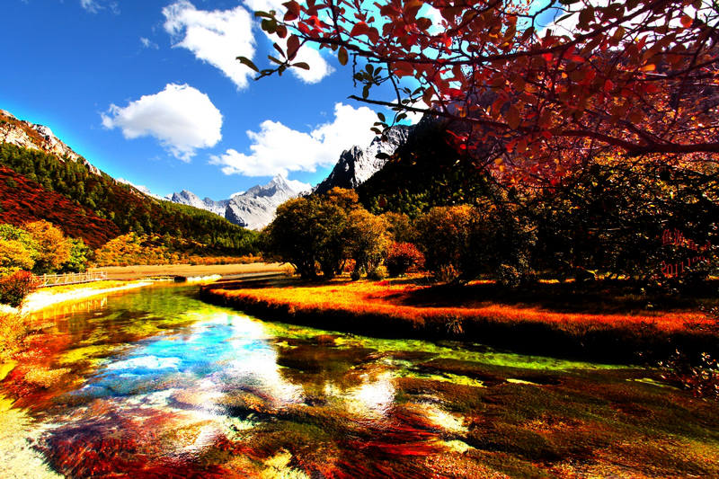 ?? ?? ????? ?? '??? ??'