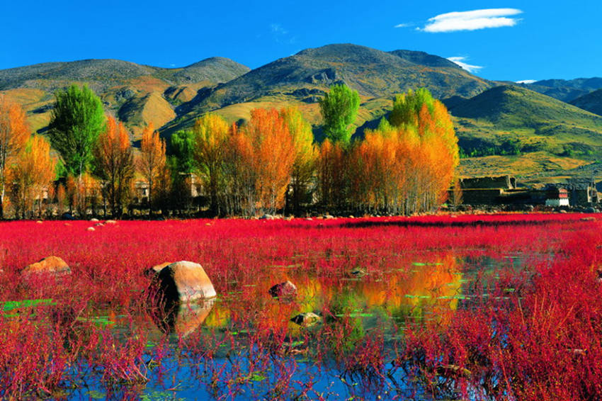 ?? ?? ????? ?? '??? ??'