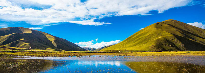 ?? ?? ????? ?? '??? ??'