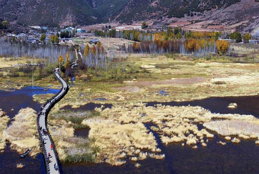 '??? ??' ???, ???? ????? ???