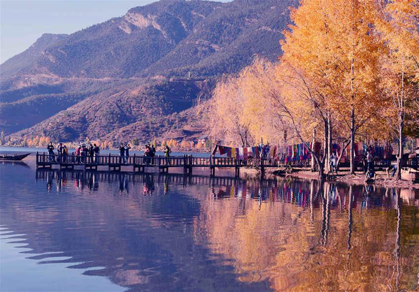 '??? ??' ???, ???? ????? ???