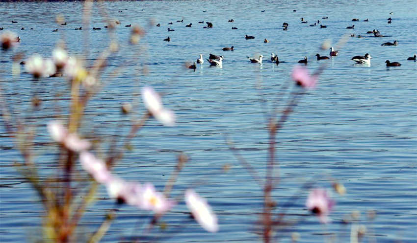 '??? ??' ???, ???? ????? ???