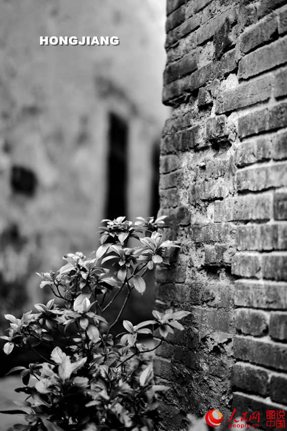 ??? ?? ???? ? ??, ?????