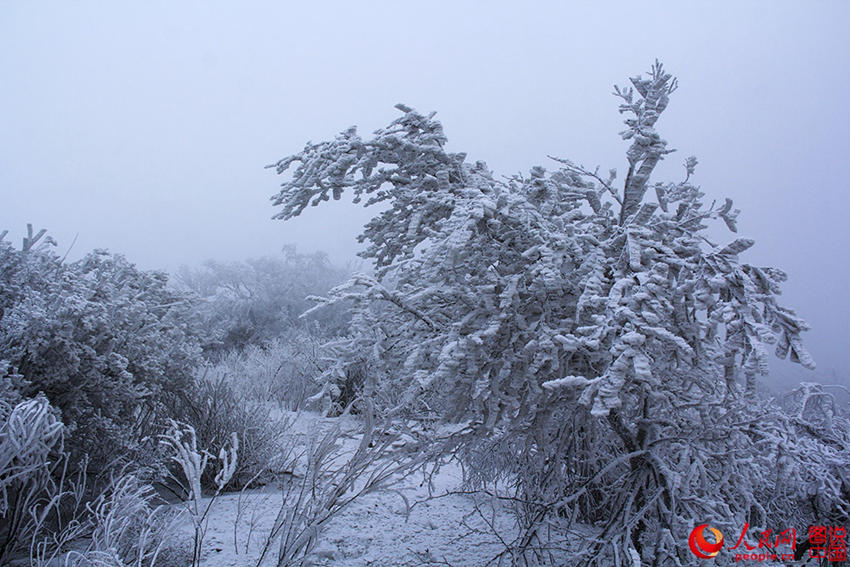 ?? ??? ???? ????, ??? ???? ??