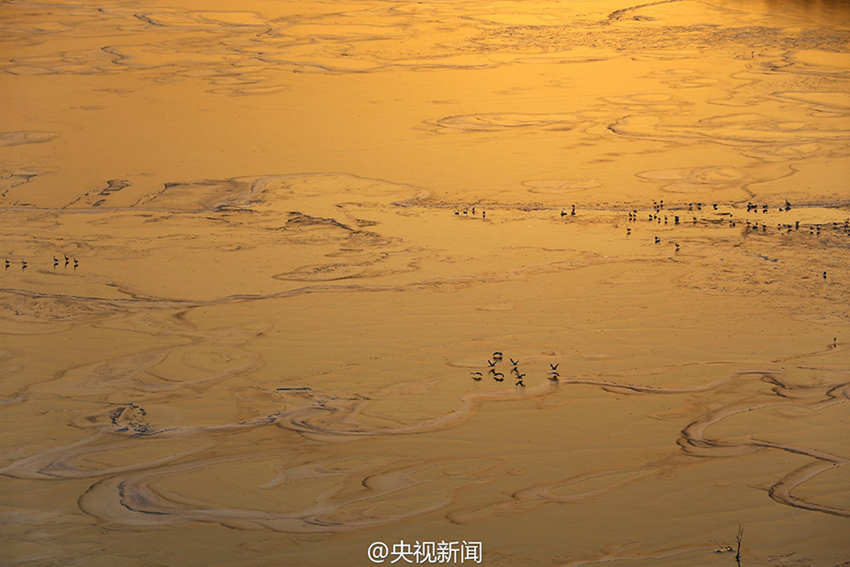 ?? ?? ??? ??? ‘????’ ???