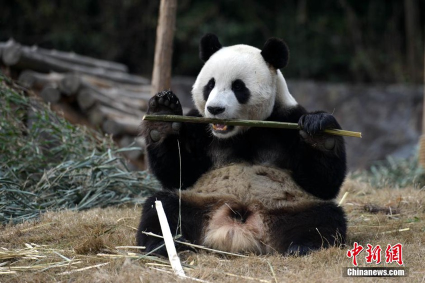 中?? ?? 韓???? ??… 15?? ?? ?? ??