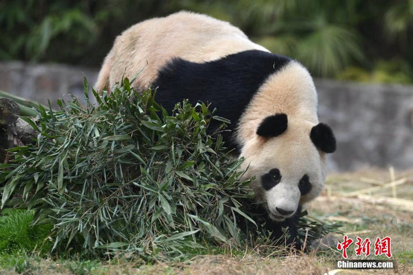 中?? ?? 韓???? ??… 15?? ?? ?? ??