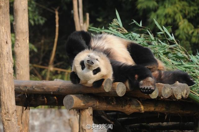 ?? ‘????’, ‘???’? ???? ??