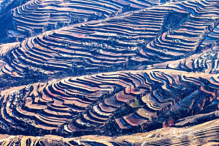 ?? ????? ??? ???? ????… ??? ??