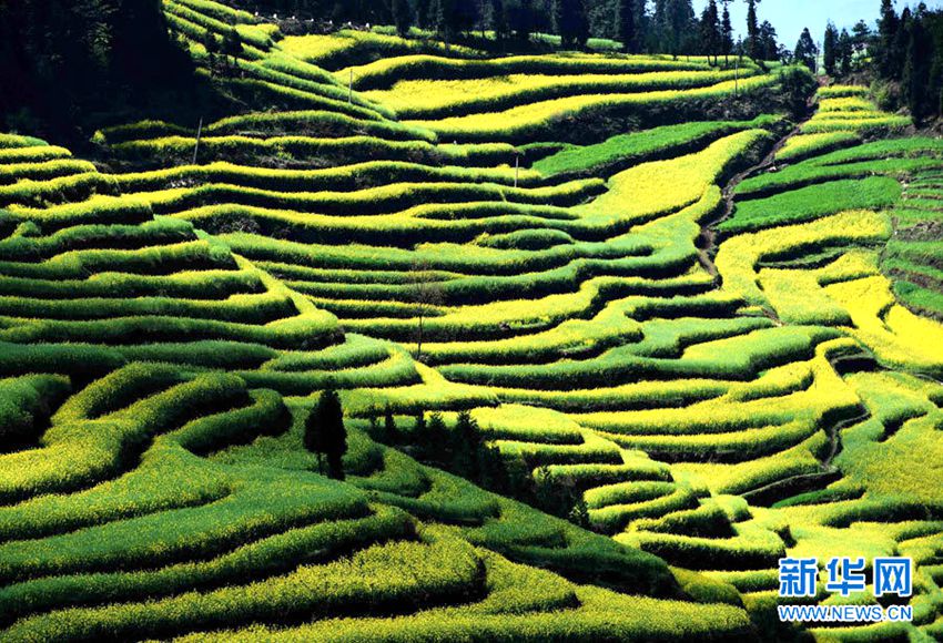 [??? ????] ?? ?? ?… ?? ?? ??