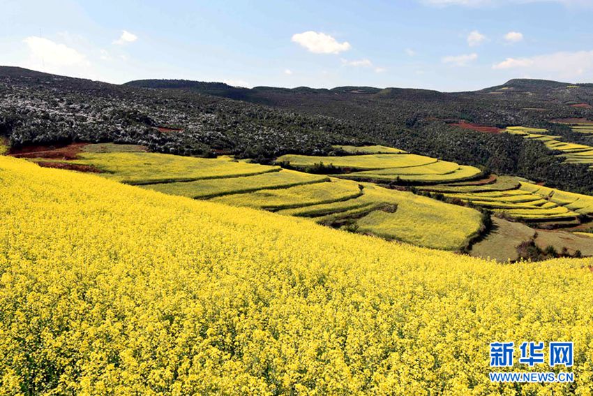 [??? ????] ?? ?? ?… ?? ?? ??