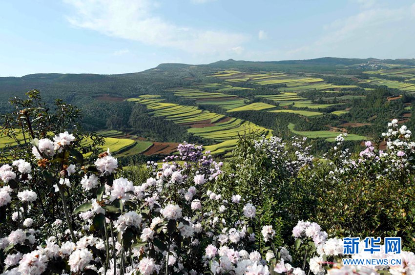 [??? ????] ?? ?? ?… ?? ?? ??