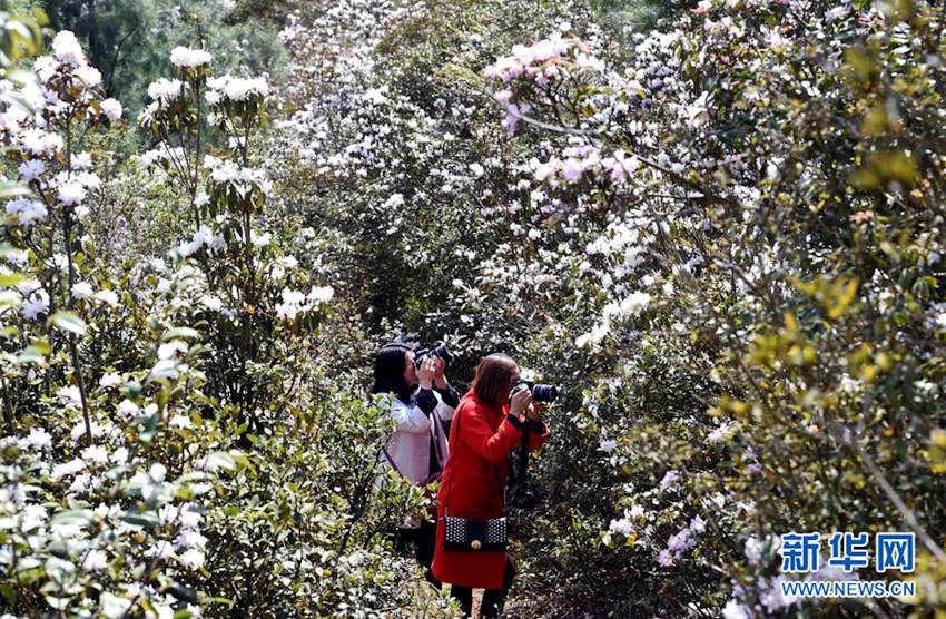 [??? ????] ?? ?? ?… ?? ?? ??