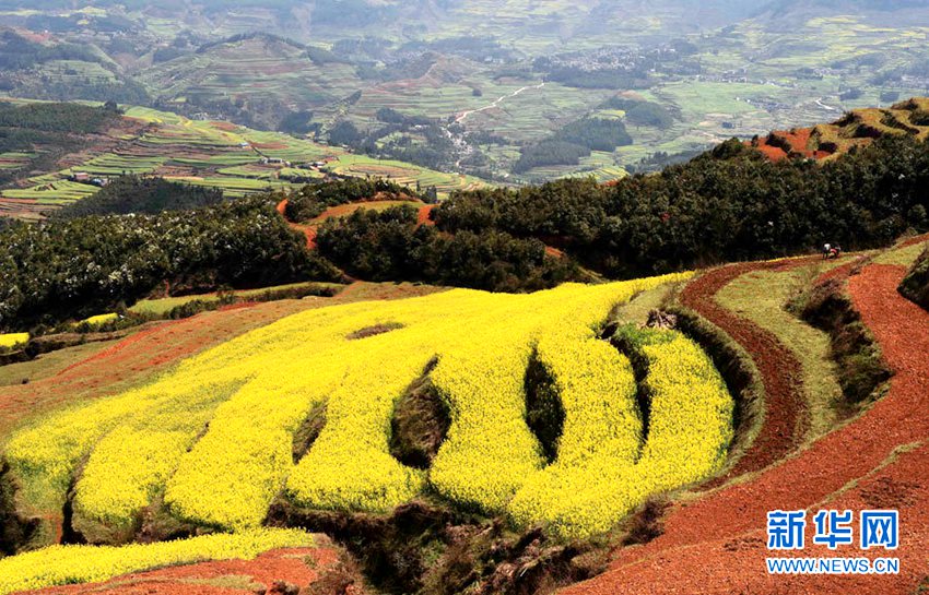 [??? ????] ?? ?? ?… ?? ?? ??