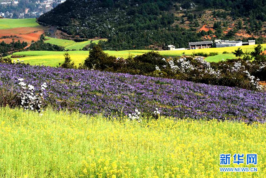 [??? ????] ?? ?? ?… ?? ?? ??