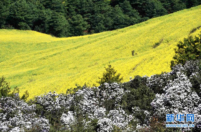 [??? ????] ?? ?? ?… ?? ?? ??