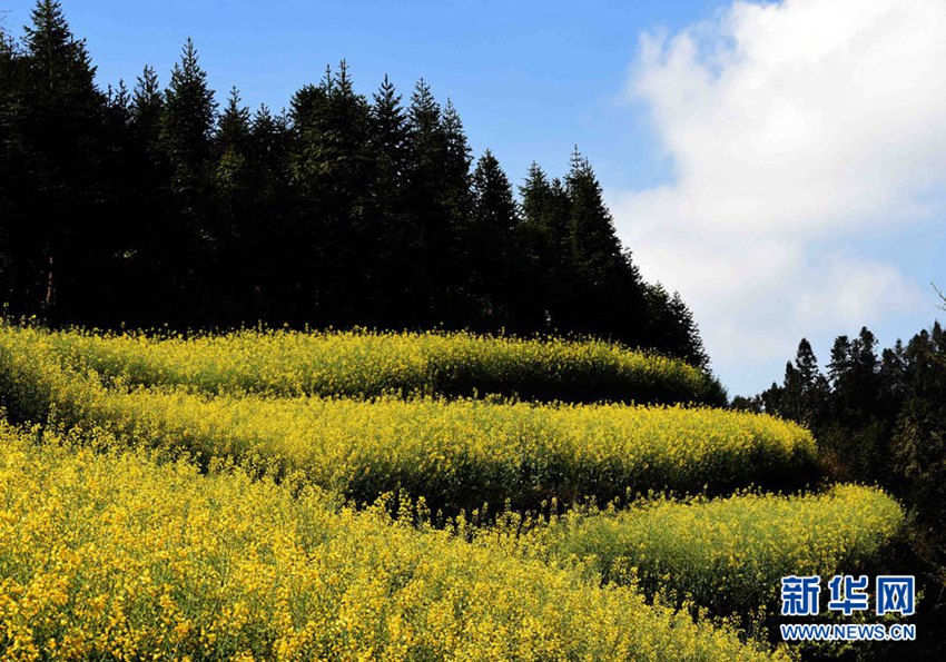 [??? ????] ?? ?? ?… ?? ?? ??