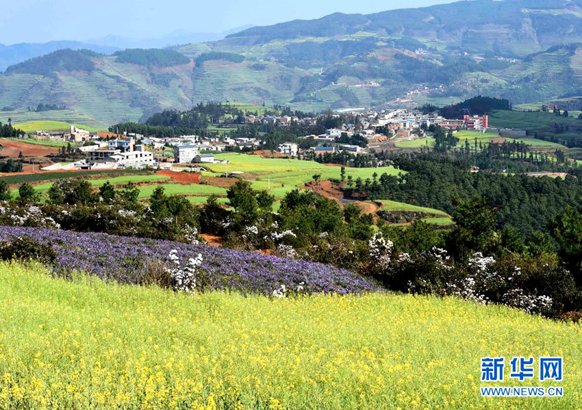 [??? ????] ?? ?? ?… ?? ?? ??