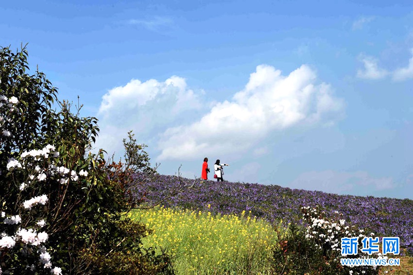 [??? ????] ?? ?? ?… ?? ?? ??