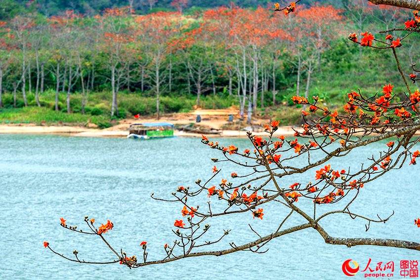 ??? ??, ???? ???? ???!