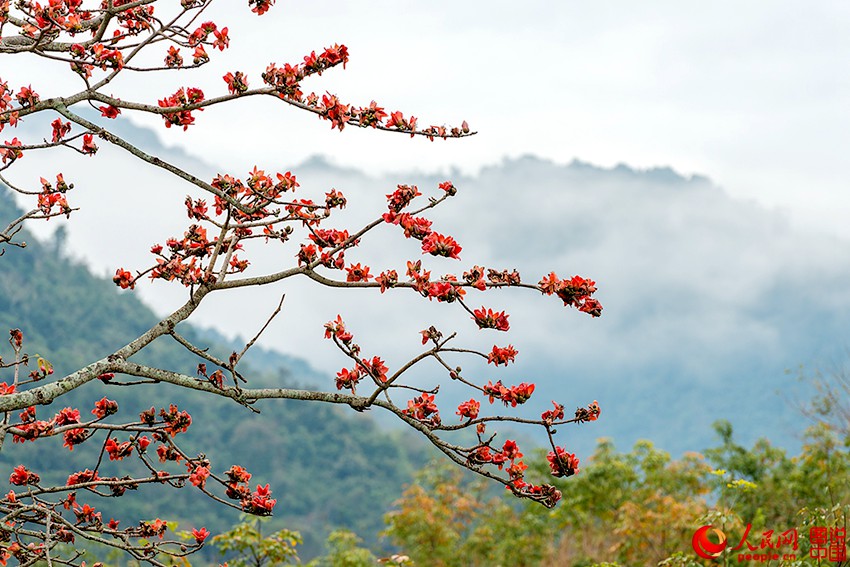 ??? ??, ???? ???? ???!