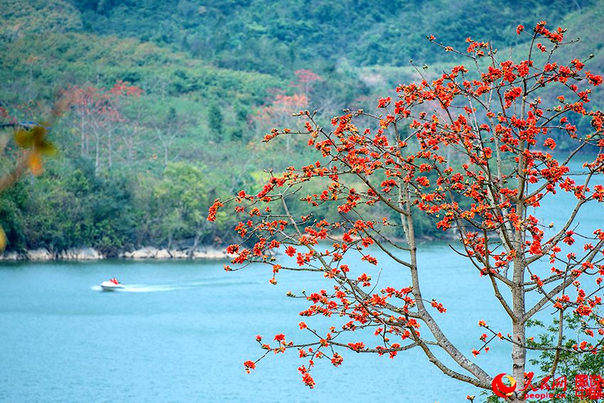 ??? ??, ???? ???? ???!