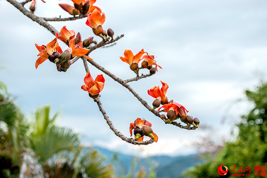 ??? ??, ???? ???? ???!