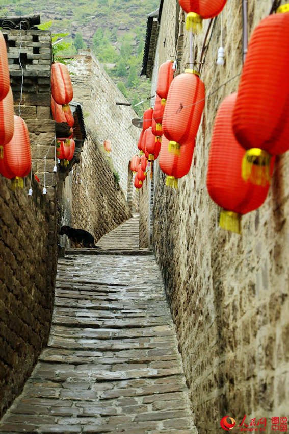 ‘?? ?? ? ??’ ??? ?????