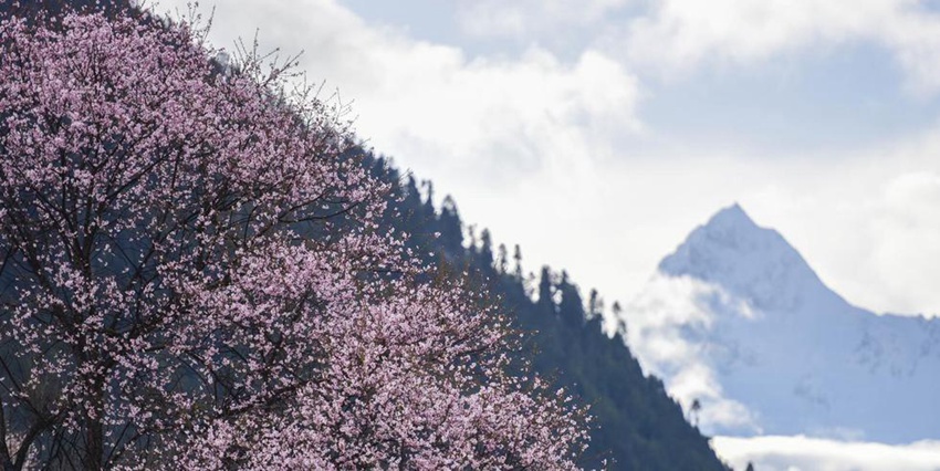 ??? ? ??? ?? ??, ‘????’ ?? ??