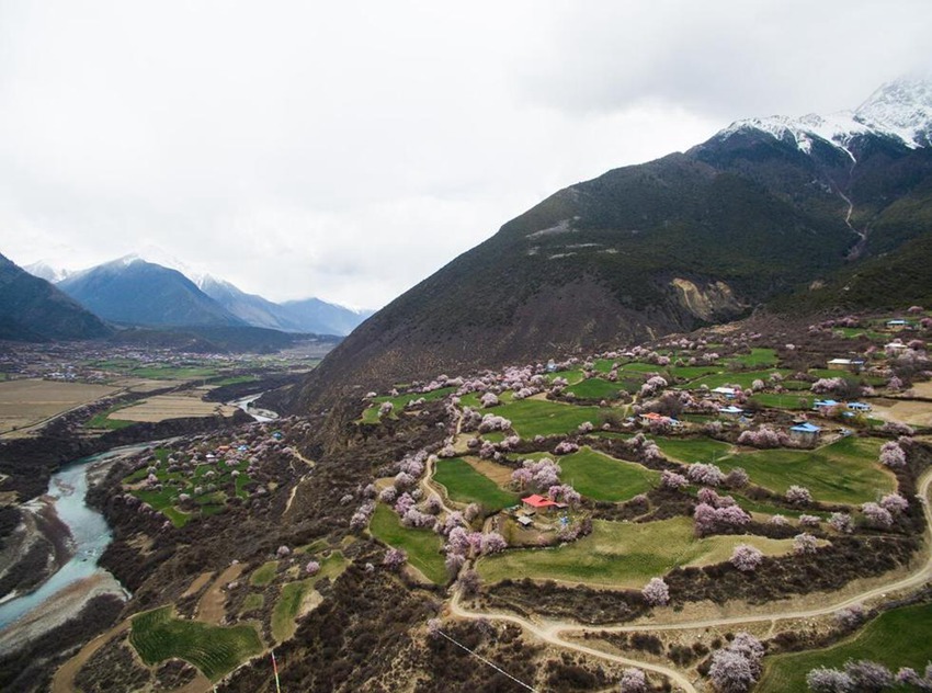 ??? ? ??? ?? ??, ‘????’ ?? ??