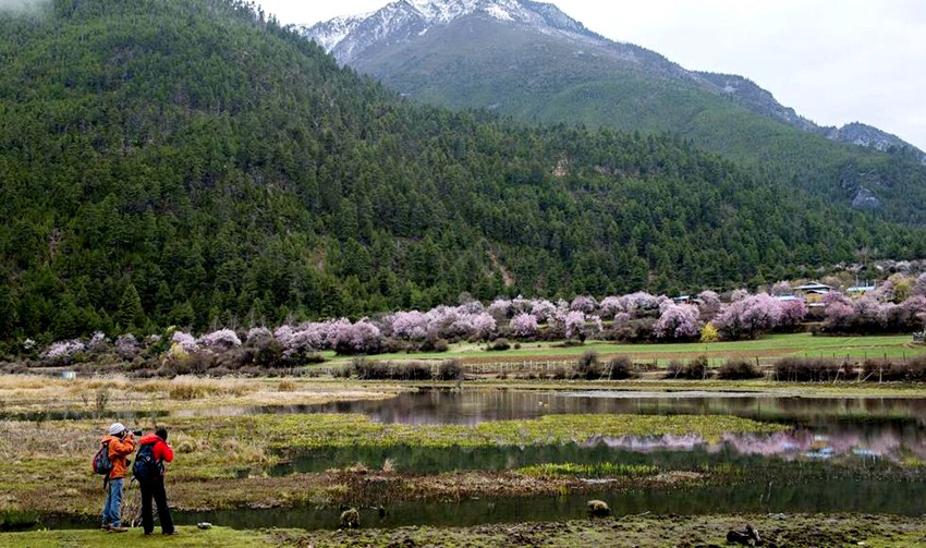 ??? ? ??? ?? ??, ‘????’ ?? ??