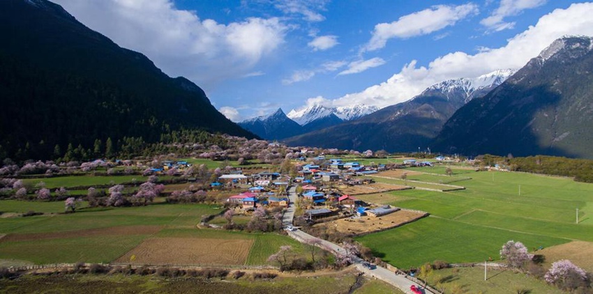 ??? ? ??? ?? ??, ‘????’ ?? ??