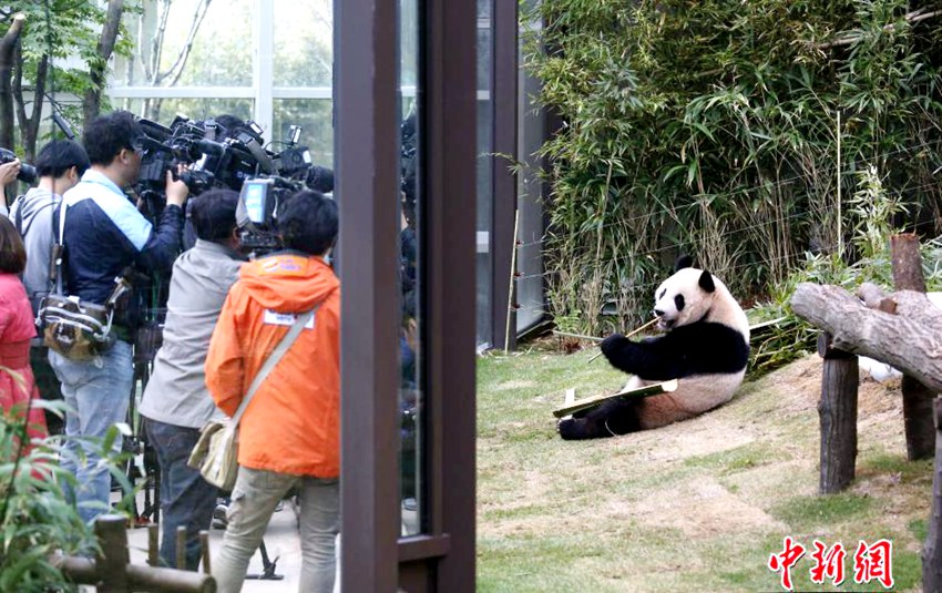 ??? ? ?? ???&????, ? ?? ??? ??