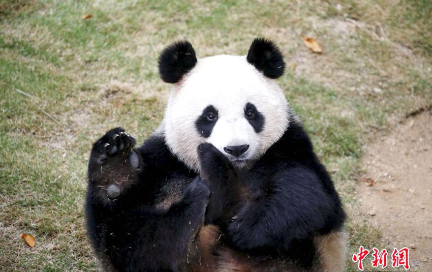 ??? ? ?? ???&????, ? ?? ??? ??