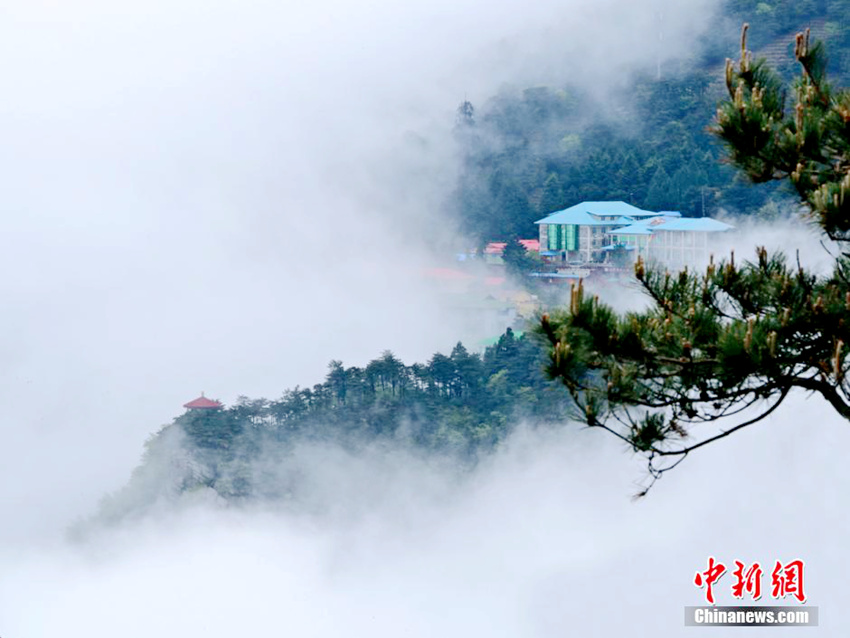 ?? ??, ??? ‘????’ ?? ??