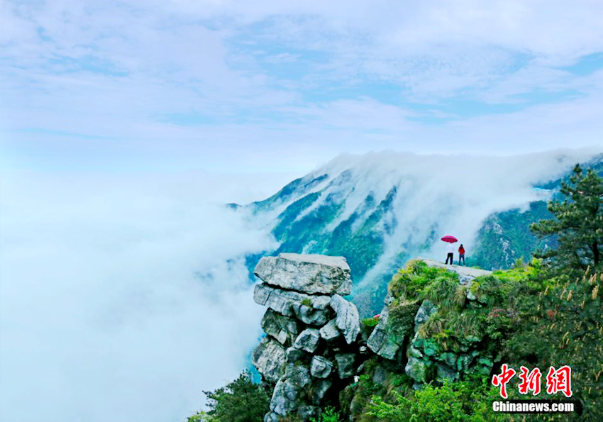 ?? ??, ??? ‘????’ ?? ??