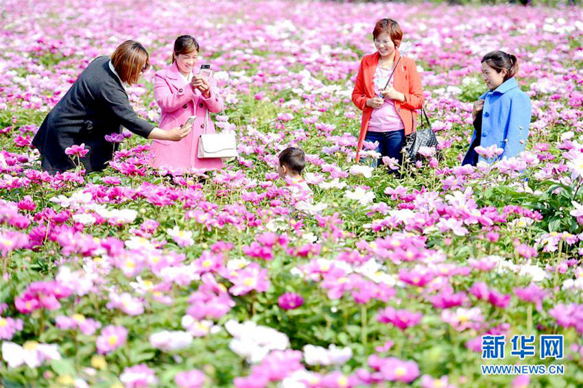 ‘??? ??’ ??? ???, 25? ? ?? ? ???