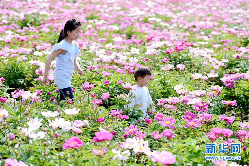 ‘??? ??’ ??? ???, 25? ? ?? ? ???