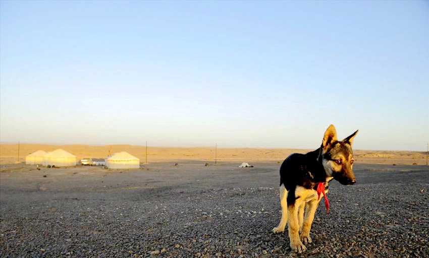 [???? ??] ??? ‘??’?? ‘??’? ???