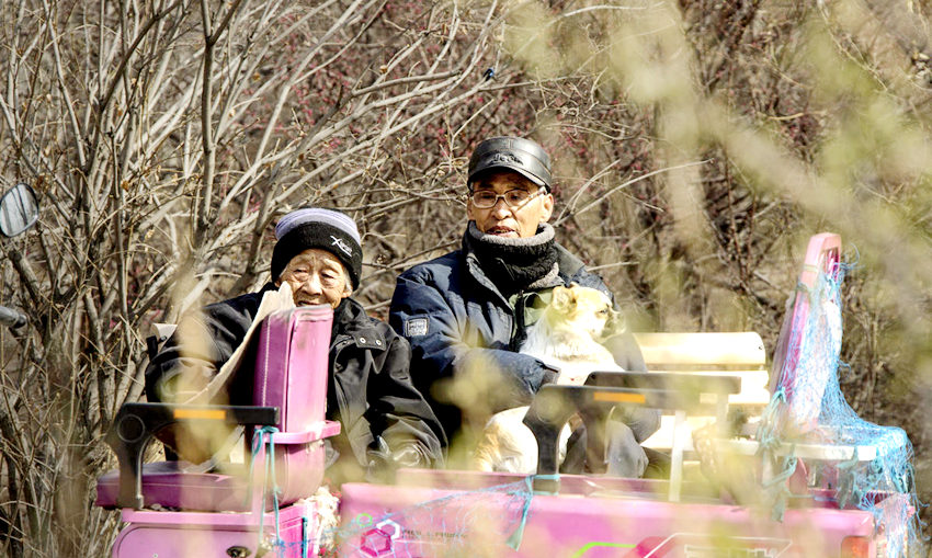 [???? ??] ?? 72? ? ???? ???