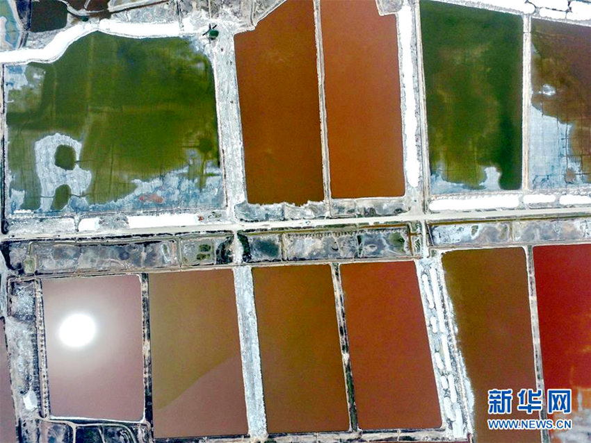 ?? ?? ????, ????? ??? ??? ??