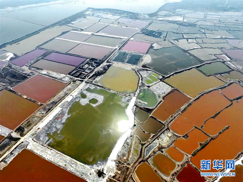 ?? ?? ????, ????? ??? ??? ??