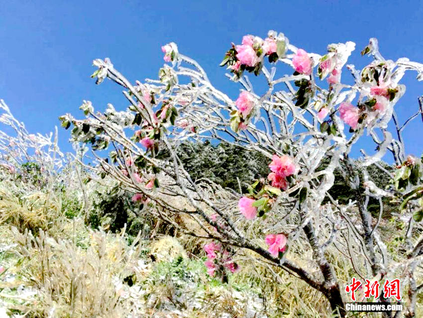 ???? ??? 5?? ?, ???? ??? ?????