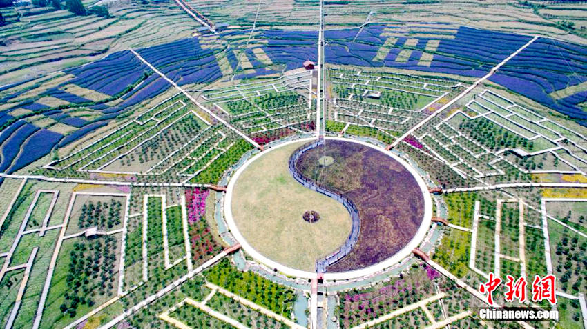 ???? ??? 81? ??? ???? ‘?? ?’