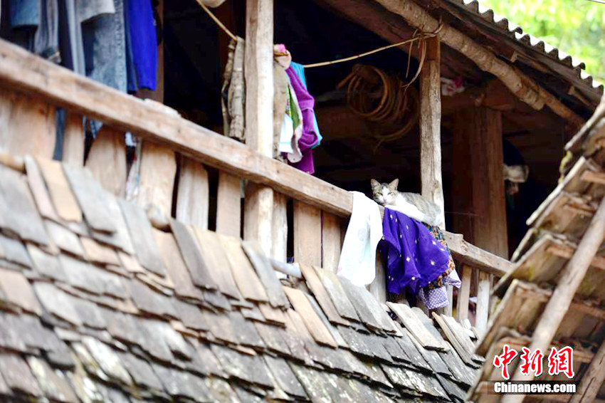 ?? ????? ?? ?? ?? ?? ??, ?? ??