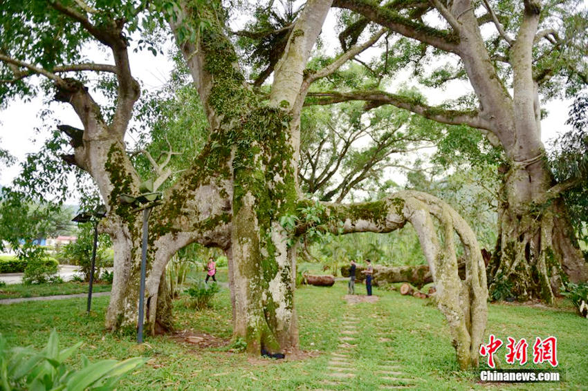 ?? ????? ?? ?? ?? ?? ??, ?? ??